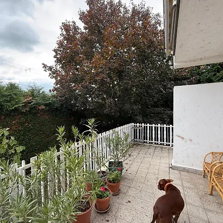 Chill & Pool Retreat Almadi Balatonalmádi